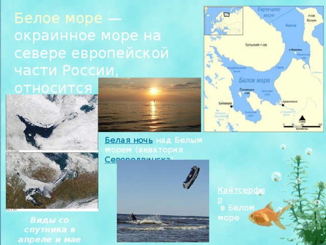 Положение белого моря относительно океана