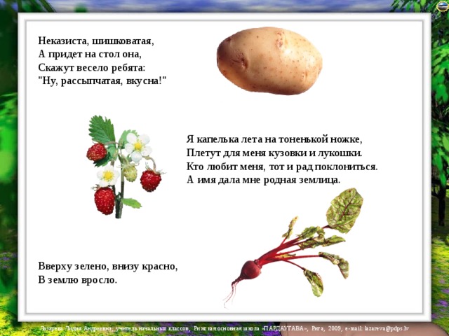 Неказиста шишковата а придет на стол она скажут весело