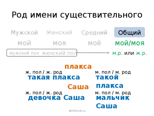 Род имени существительного Средний Женский Общий Мужской моё мой/моя моя мой м.р. или ж.р. женский пол мужской пол плакса м. пол / м. род ж. пол / ж. род такая плакса такой плакса Саша ж. пол / ж. род м. пол / м. род девочка Саша мальчик Саша ©InfoUrok.ru 