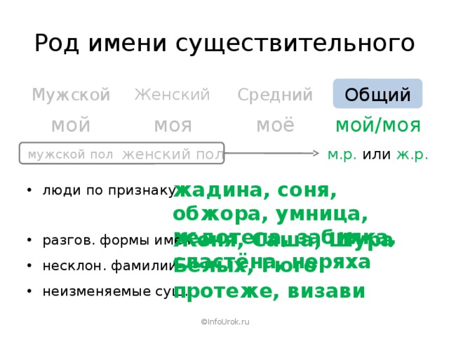 Род имени существительного Средний Женский Общий Мужской моё моя мой/моя мой женский пол мужской пол м.р. или ж.р. жадина, соня, обжора, умница, недотепа, забияка, сластёна, неряха люди по признаку Женя, Саша, Шура разгов. формы имён Белых, Гюго несклон. фамилии протеже, визави неизменяемые сущ. ©InfoUrok.ru 