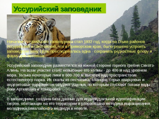 Уссурийский заповедник презентация 8 класс