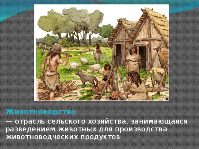 Животново́дство   — отрасль сельского хозяйства, занимающаяся разведением животных для производства животноводческих продуктов 