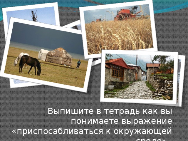 Презентация по географии 5 класс полярная звезда как люди заселяли землю