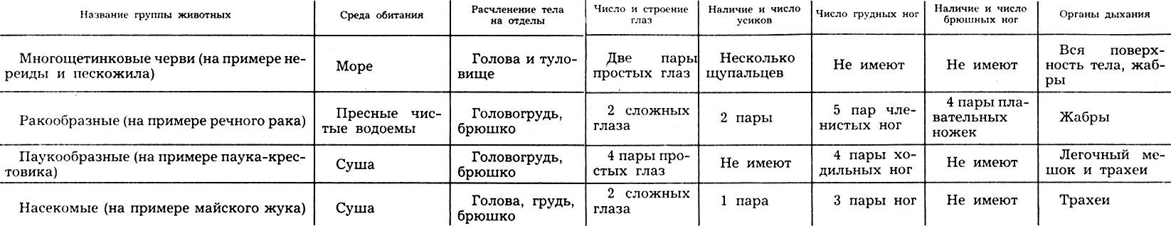 Признаки ракообразных паукообразных насекомых