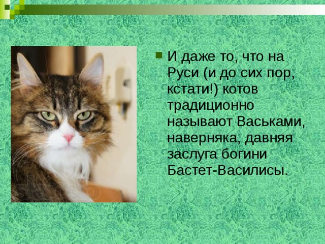 И даже то, что на Руси (и до сих пор, кстати!) котов традиционно называют Васьками, наверняка, давняя заслуга богини Бастет-Василисы.   
