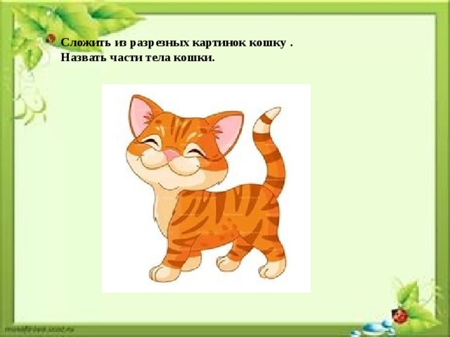 Кошка разрезная картинка