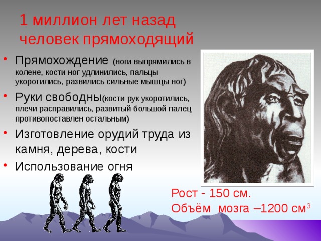 1 млн лет назад. Человек прямоходящий рост вес объем мозга. Человек прямоходящий Возраст. Человек прямоходящий презентация. К виду человек прямоходящий принадлежат.