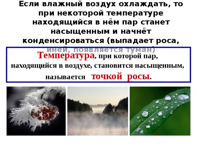 Сколько в росу выпадет. Тёплый влажный воздух. Когда пар становится насыщенным. Насыщенный воздух может стать ненасыщенным. Выпадение росы физика.