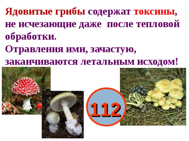 Ядовитые грибы презентация 2 класс - 93 фото
