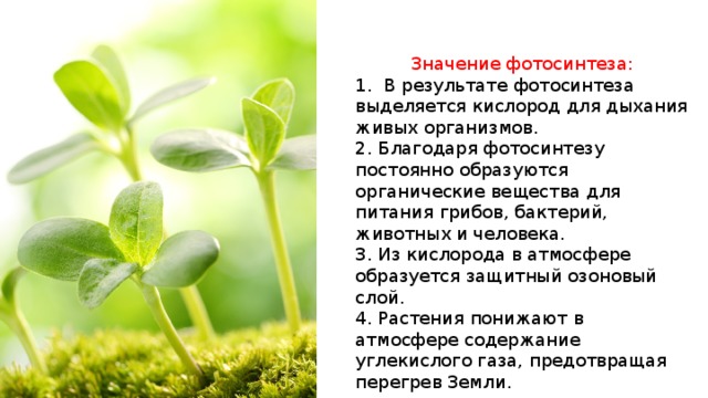 общаюсь людьми, при фотосинтезе кислород образуется в результате лесах можно