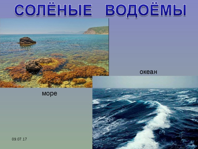 Обитатели соленых водоемов 2 класс 21 век презентация и конспект