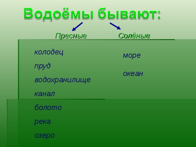  Пресные  Солёные колодец пруд водохранилище канал болото река озеро море  океан 