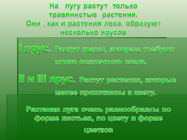 Презентация животные растения луга 2 класс школа 21 века