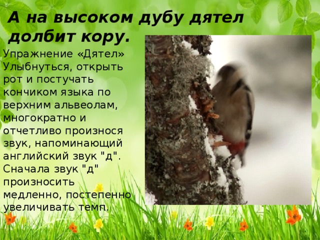 Дятел дуб долбил. Дятел долбит камеру. Задание №5 дятел. Стоял в лесу дуб. Прилетел к дубу дятел
