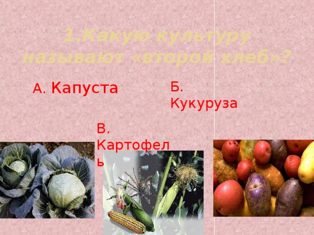 1.Какую культуру называют «второй хлеб»? А. Капуста Б. Кукуруза В. Картофель 