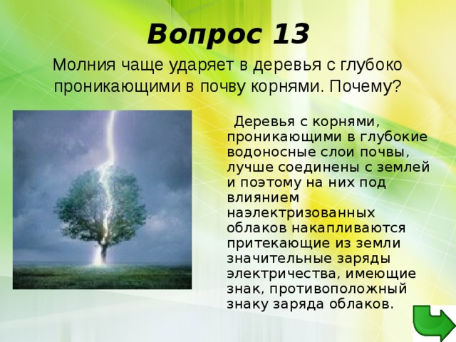 Вопрос 13 Молния чаще ударяет в деревья с глубоко проникающими в почву корнями. Почему?  Деревья с корнями, проникающими в глубокие водоносные слои почвы, лучше соединены с землей и поэтому на них под влиянием наэлектризованных облаков накапливаются притекающие из земли значительные заряды электричества, имеющие знак, противоположный знаку заряда облаков. 