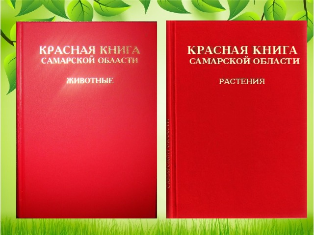 Красная книга самарской области животные и растения презентация