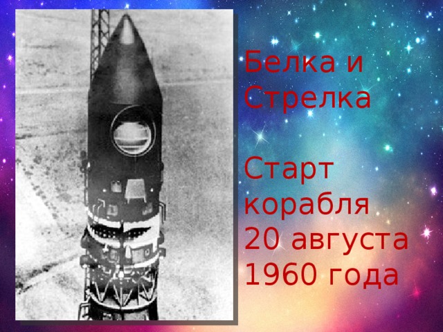 Белка и Стрелка Старт корабля 20 августа 1960 года 