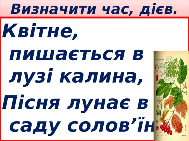 Визначити час, дієв. Квітне, пишається в лузі калина, Пісня лунає в саду солов’їна. 