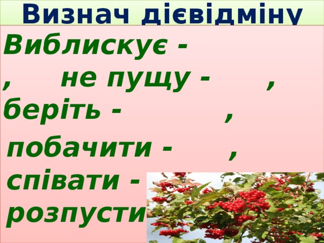 Визнач дієвідміну Виблискує - , не пущу - , беріть - , побачити - , співати - , розпустила - . 