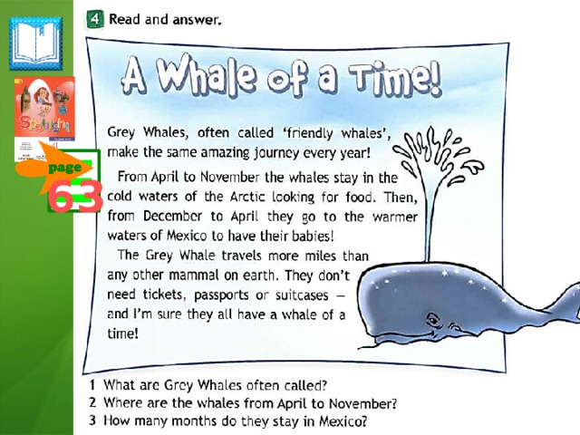 Amazing journey every year перевод на русский. Английский язык Whale. A Whale of a time текст. A Whale of a time 4 класс Spotlight. A Whale of a time презентация 7 класс спотлайт.