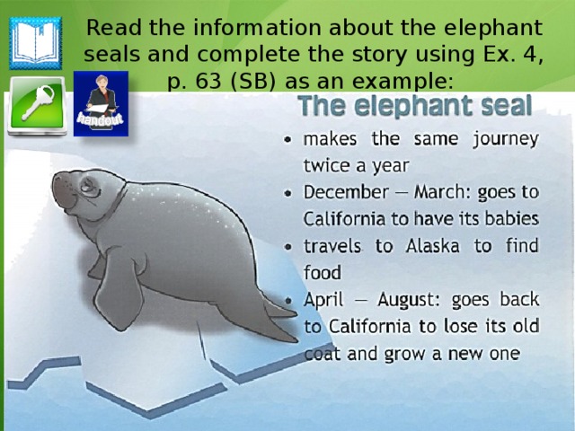 Spotlight 4 модуль 4. Спотлайт 4 модуль 4. The Elephant Seal 4 класс. Спотлайт 4 модуль 8. Спотлайт 4 модуль 5.