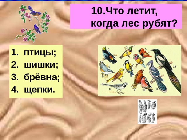 Щепки летят