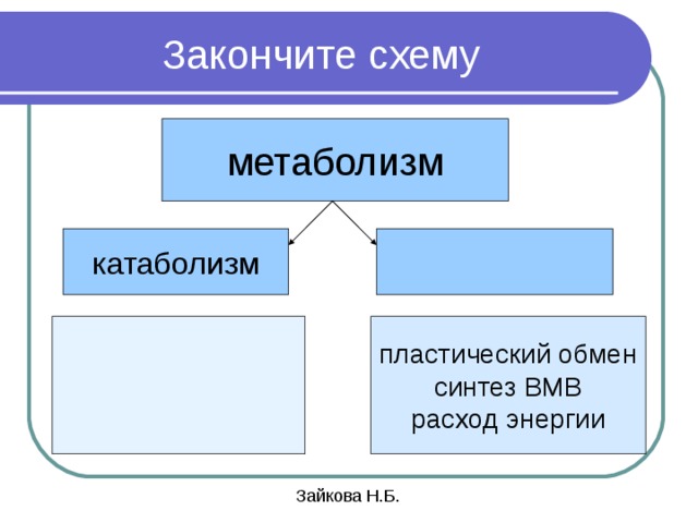 Закончи схему образования человека плюс здоровье человека. Пластический обмен схема. Закончите схему. Допишите схемы обмен веществ-. Доделайте схему общество как система.