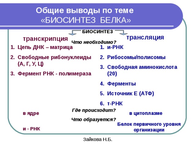 Биосинтез белка таблица. Биосинтез белка 10 класс биология. 10 Класс биология Биосинтез белка таблица. Этапы биосинтеза белка транскрипция и трансляция. Этапы биосинтеза белка 10 класс.