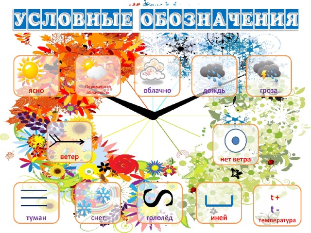 Погода для школьников