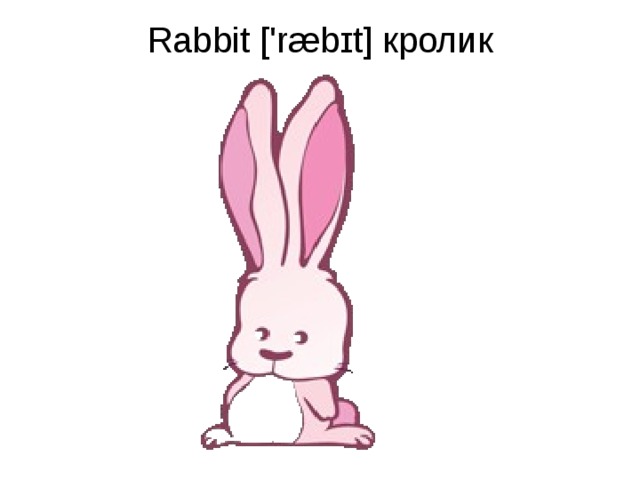 Rabbit ['ræbɪt] кролик   