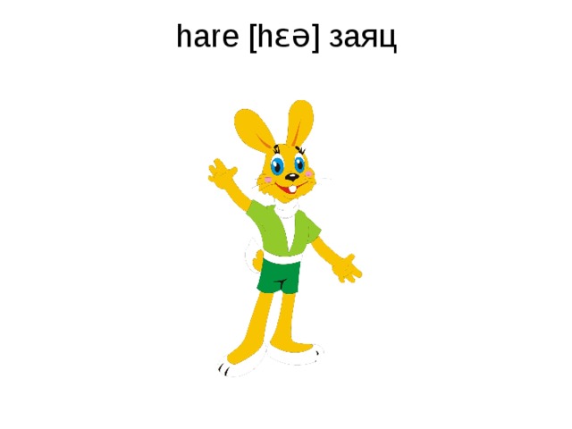 hare [hɛə] заяц   