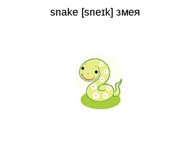 snake [sneɪk] змея   