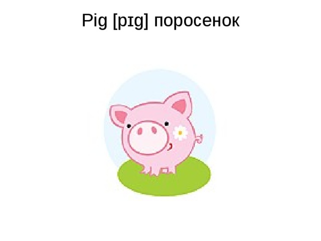 Pig [pɪg] поросенок   