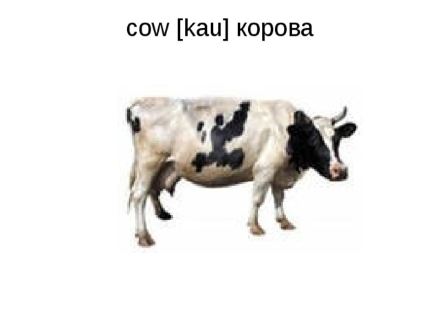 cow [kau] корова   