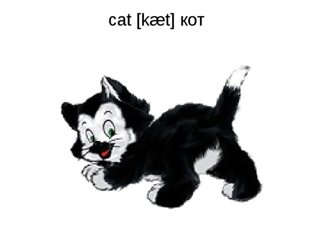 cat [kæt] кот   
