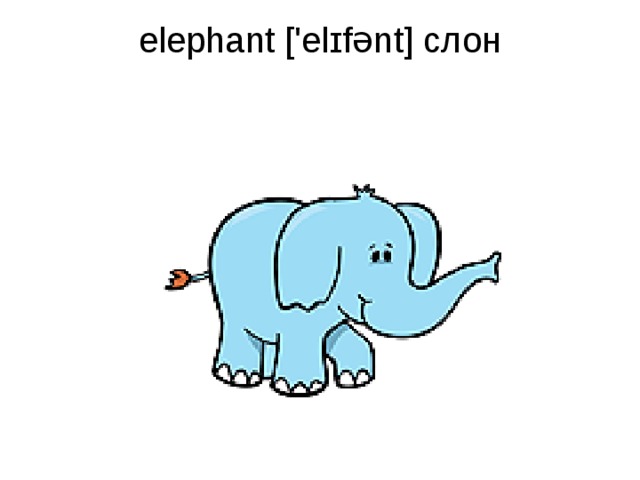 elephant ['elɪfənt] слон   