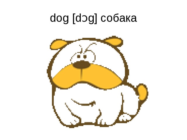 dog [dɔg] собака 