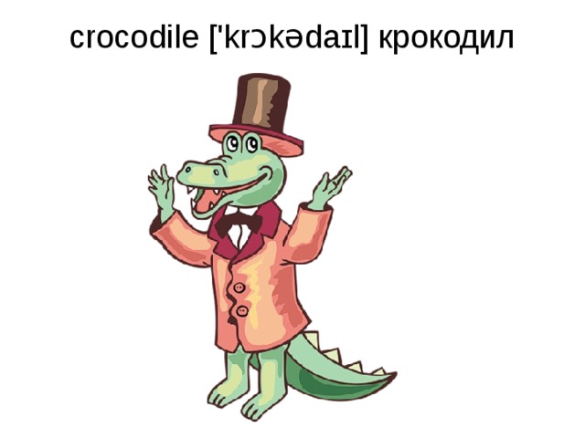 crocodile ['krɔkədaɪl] крокодил   