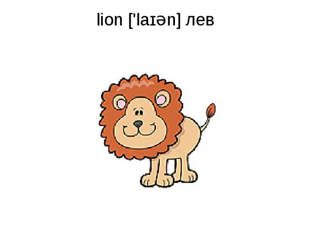 lion ['laɪən] лев   