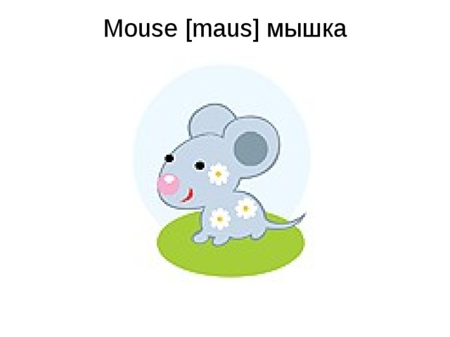 Mouse [maus] мышка   