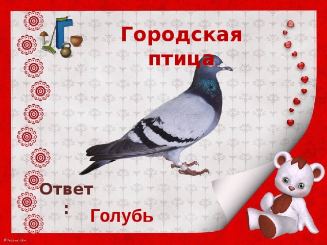 Ответ голубь. 300 Вопросов и ответов о птицах. Мои первые вопросы и ответы. Птицы. Около прорубки белые голубки отгадка.