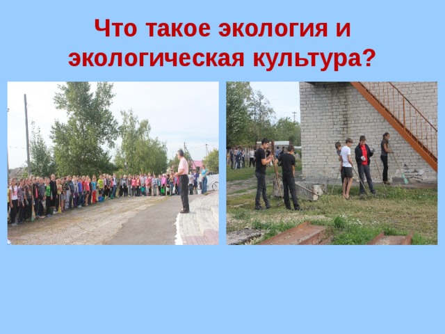 Что такое экология и экологическая культура?