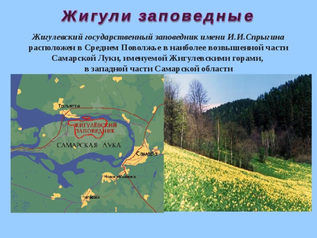 Самарская лука презентация