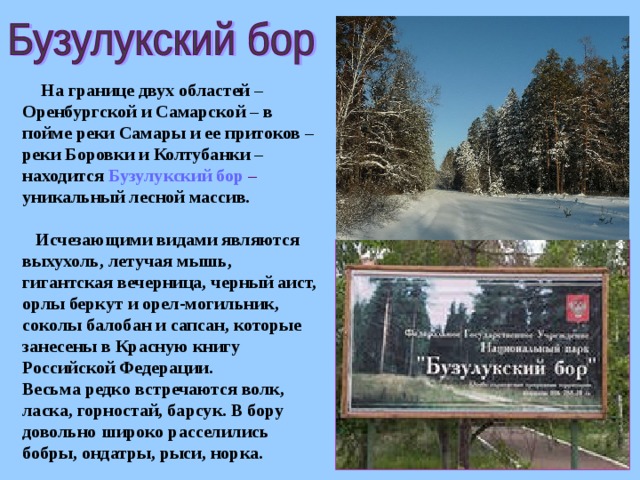 Заповедники оренбургской области презентация 4 класс