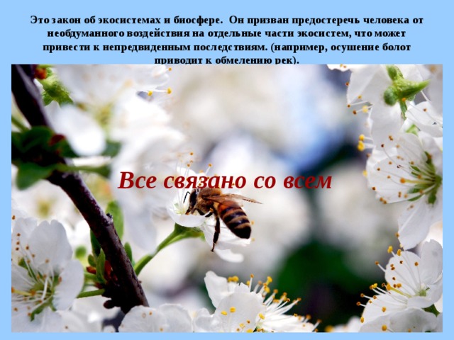 Это закон об экосистемах и биосфере. Он призван предостеречь человека от необдуманного воздействия на отдельные части экосистем, что может привести к непредвиденным последствиям. (например, осушение болот приводит к обмелению рек). Все связано со всем