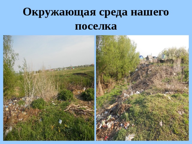 Окружающая среда нашего поселка