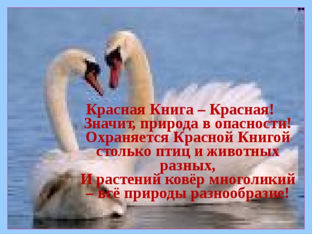 Красная Книга – Красная!   Значит, природа в опасности!  Охраняется Красной Книгой столько птиц и животных разных,  И растений ковёр многоликий – всё природы разнообразие!