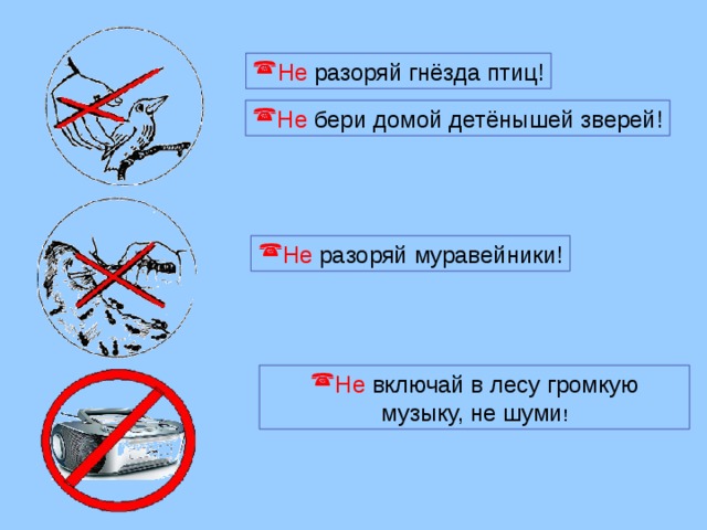 Не разоряй гнёзда птиц! Не бери домой детёнышей зверей! Не разоряй муравейники! Не включай в лесу громкую музыку, не шуми !
