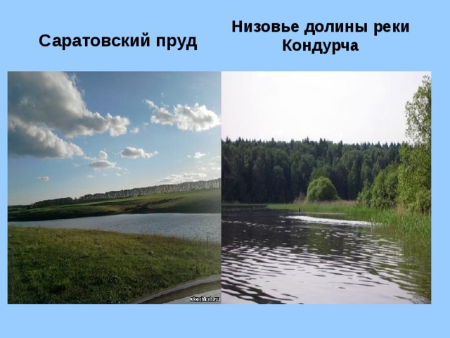 Низовье долины реки Кондурча Саратовский пруд